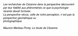 Les recherches de C&eacute;zanne dans la perspective d&eacute;couvrent par le